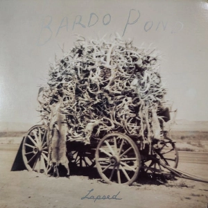 Bardo Pond Lapsed LP 1997 USA