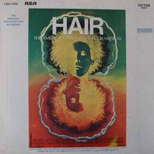 Hair - The American Tribal Love-Rock Musical (The Original Broadway Cast Recording) LP India