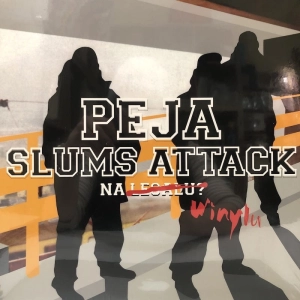 PEJA Na Legalu 2LP