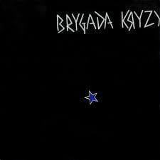 BRYGADA KRYZYS Brygada Kryzys LP Glow In The Dark