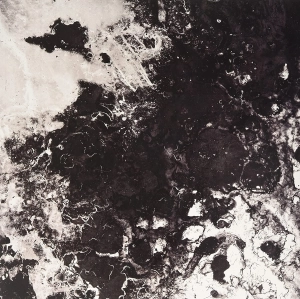 THE BLACK QUEEN Fever Daydream 2LP Transparent Black