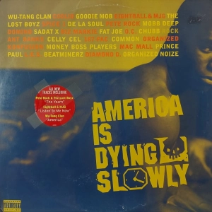 V/A America Is Dying Slowly  2LP 1996  USA