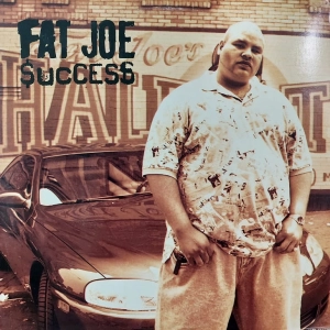 Fat Joe – Success 12" USA 1995