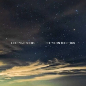 LIGHTNING SEEDS See You In The Stars LP COLOURED