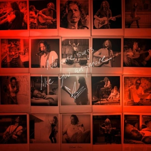 CHRIS CORNELL No One Sings Like You Anymore LP