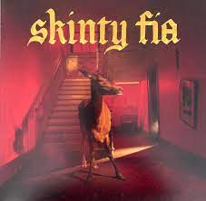 FONTAINES D.C. Skinty Fia LP