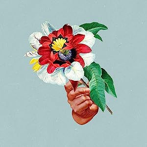 MARIBOU STATE Kingdoms In Colour LP