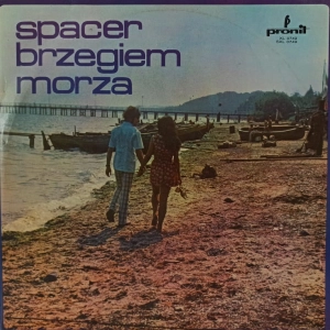 Tadeusz Prejzner Spacer brzegiem morza ,. Zespół  Instrumentalny Tadeusza Preiznera  / Tomasz Stańko ,  Ewa Wanat , Janusz Muniak i inni / LP 1969 PL mono 