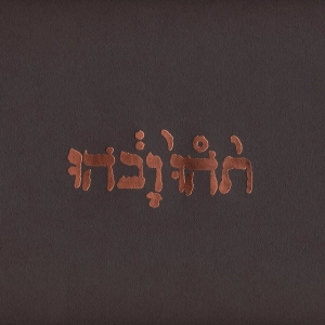 GODSPEED YOU! BLACK EMPEROR Slow Riot For A New Zero Kanada LP