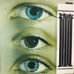 Trilogy I'm Beginning To Feel It LP 1970 US Mercury