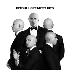 PITBULL Greatest Hits LP Silver & Black