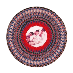 TAKE THAT Everything Changes LP Zoetrope Picture Disc