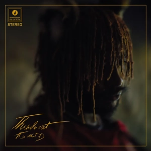 THUNDERCAT It Is What It Is LP (DELUXE EDITION) CLEAR