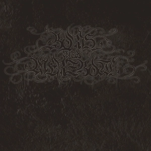 BORIS WITH MERZBOW 4092001 SILVER LP