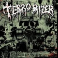 TERRORIZER Darker Days Ahead GREEN LP