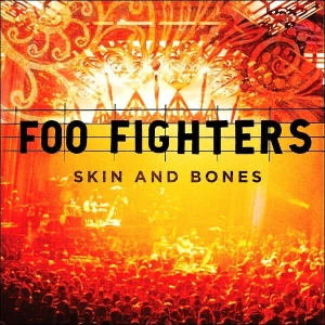 FOO FIGHTERS Skin And Bones LP