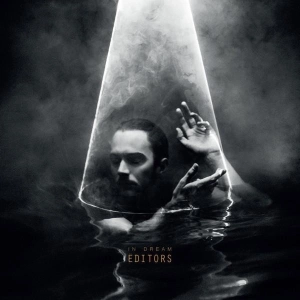 Editors, In Dream LP Rock