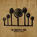 PINEAPPLE THIEF, THE Nothing But The Truth 2LP