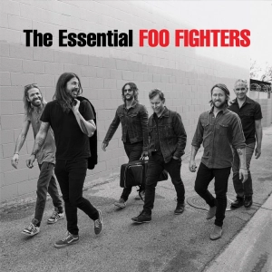 FOO FIGHTERS The Essential 2LP