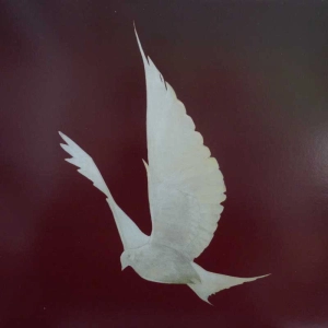 Floor Dove LP 2005 US No Idea Records red vinyl