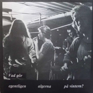Various Vad Gör Egentligen Algerna På Vintern? LP 1974 Sweden Scam Records
