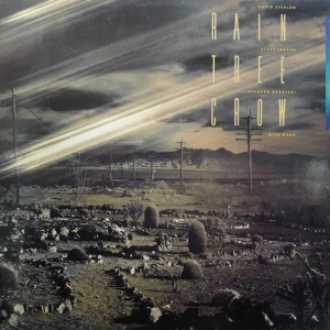 Rain Tree Crow Sylvian Jansen Barbieri Karn LP 1991 Germany Virgin