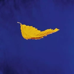 NEW ORDER True Faith LP