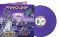 NANOWAR OF STEEL Dislike To False Metal LP Fioletowy winyl