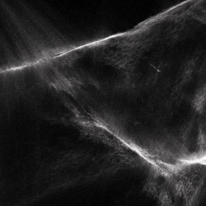 Final Light, Final Light LP