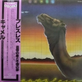 Camel  Breathless LP 1980 Japan London Records