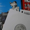 Various – Duma Młodych, LP 2022 PL Refuse Records , płyta winylowa