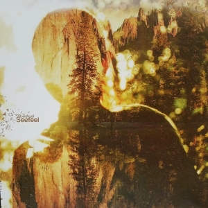 Seefeel LP 2011 Warp Records ambient dub Shoegaze płyta winylowa