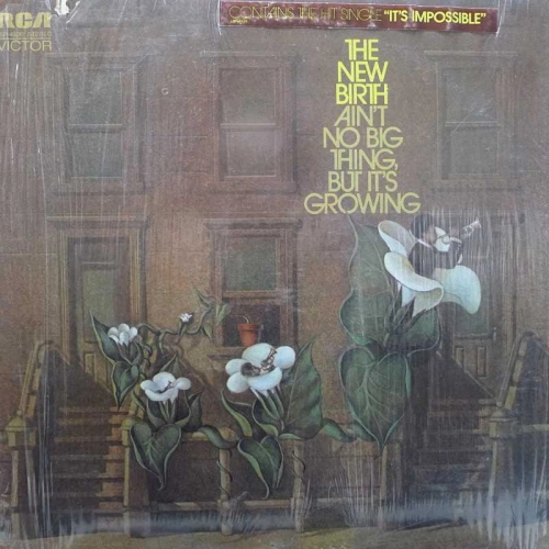 New Birth -  Ain't No Big Thing, But It's Growing, LP 1971 US, RCA Victor , płyta winylowa