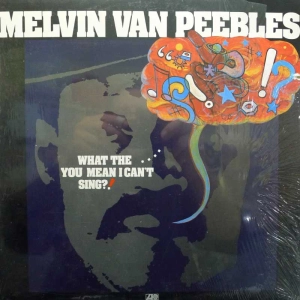 Melvin Van Peebles - What The . . . . You Mean I Can't Sing?!, LP 1973 US, Atlantic