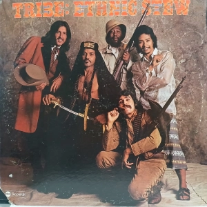 Tribe, Ethnic Stew LP USA 1974 soul funk