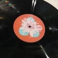 Bjork, Post LP 1995 UK
