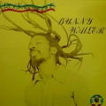 Bunny Wailer - Rock 'N' Groove, LP 1981 UK, Solomonic