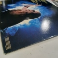 Ozzy Osbourne, Bark At The Moon LP 1983 USA, metal, płyta winylowa