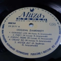Oddział Zamknięty, Oddział Zamknięty LP 1983 PL Polskie Nagrania Muza, płyta winylowa