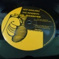 The Residents, Not Available, LP 1978 US, Ralph Records, płyta winylowa