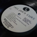 Jah Cure, Free Jah's Cure: The Album, The Truth, LP 2000 US, JD Records, płyta winylowa