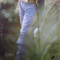 Don Covay And The Jefferson Lemon Blues Band, Different Strokes For Different Folks, LP 1972 US, Janus Records, płyta winylowa