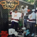The Dayton Family, What's On My Mind?, LP 1995 US, Relativity Records, płyta winylowa