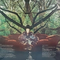 Amon Düül II, Tanz Der Lemminge 2LP Japan 1972, Krautrock Liberty, płyta winylowa