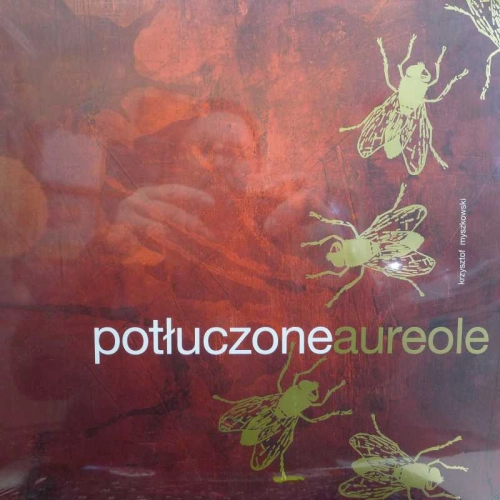 Krzysztof Myszkowski, Potłuczone Aureole, LP 2020 PL, Myszka Records, płyta winylowa