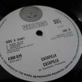  Catapilla,  Catapilla, LP 1971 UK, Vertigo, płyta winylowa