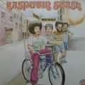 Rasputin Stash, Devil Made Me Do It, LP 1974 US, Gemigo Records, płyta winylowa