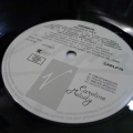 Primus, Frizzle Fry, LP 1990 EU, Virgin/Caroline Records, płyta winylowa