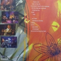Nirvana, MTV Unplugged in New York, LP 1994 US, DGC, płyta winylowa