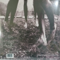 Pearl Jam, Vs. 2LP Nowa płyta winylowa